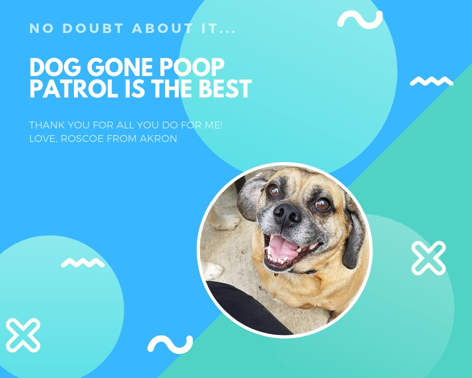 dog gone poop patrol is the best