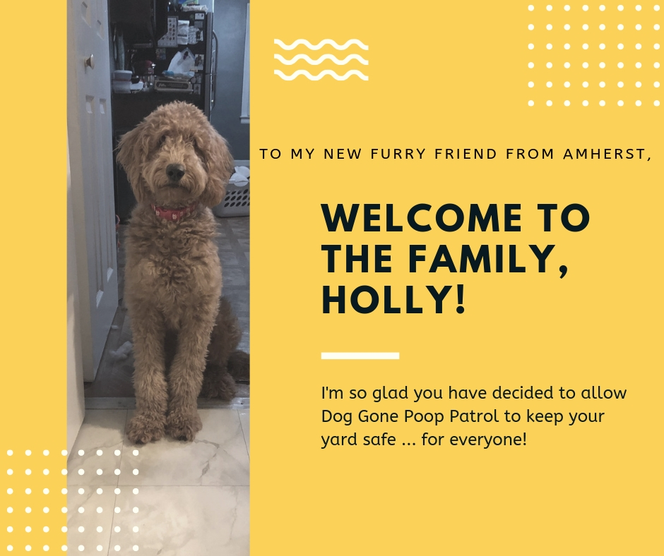welcome holly