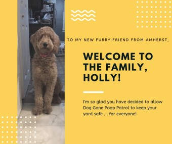 welcome holly