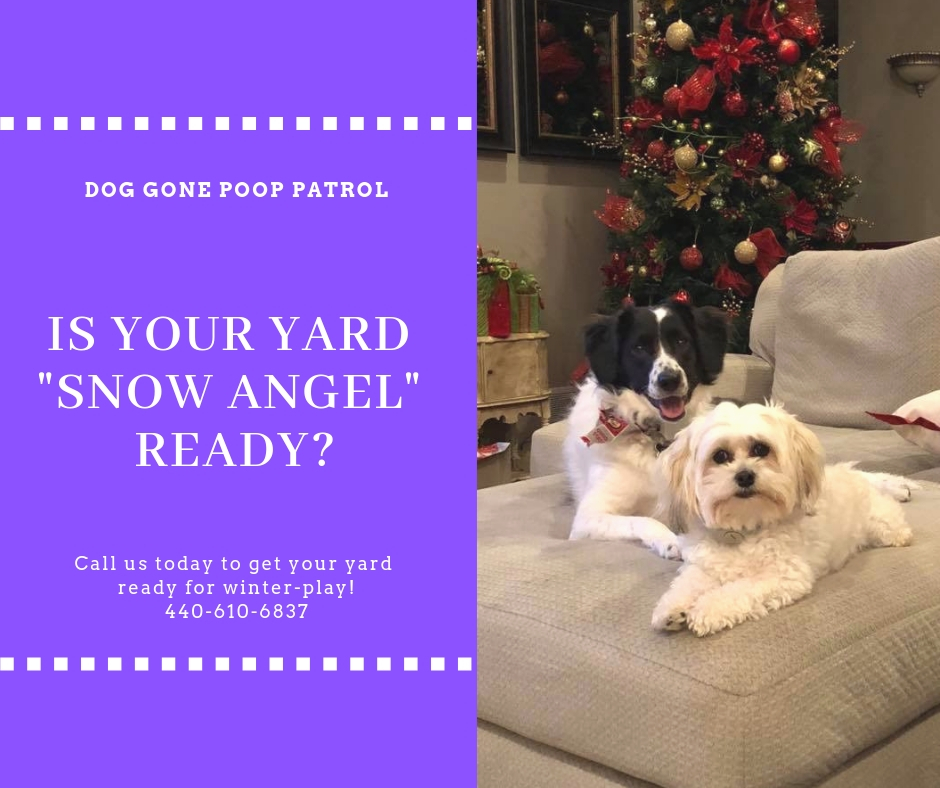 yard clean for snow angels