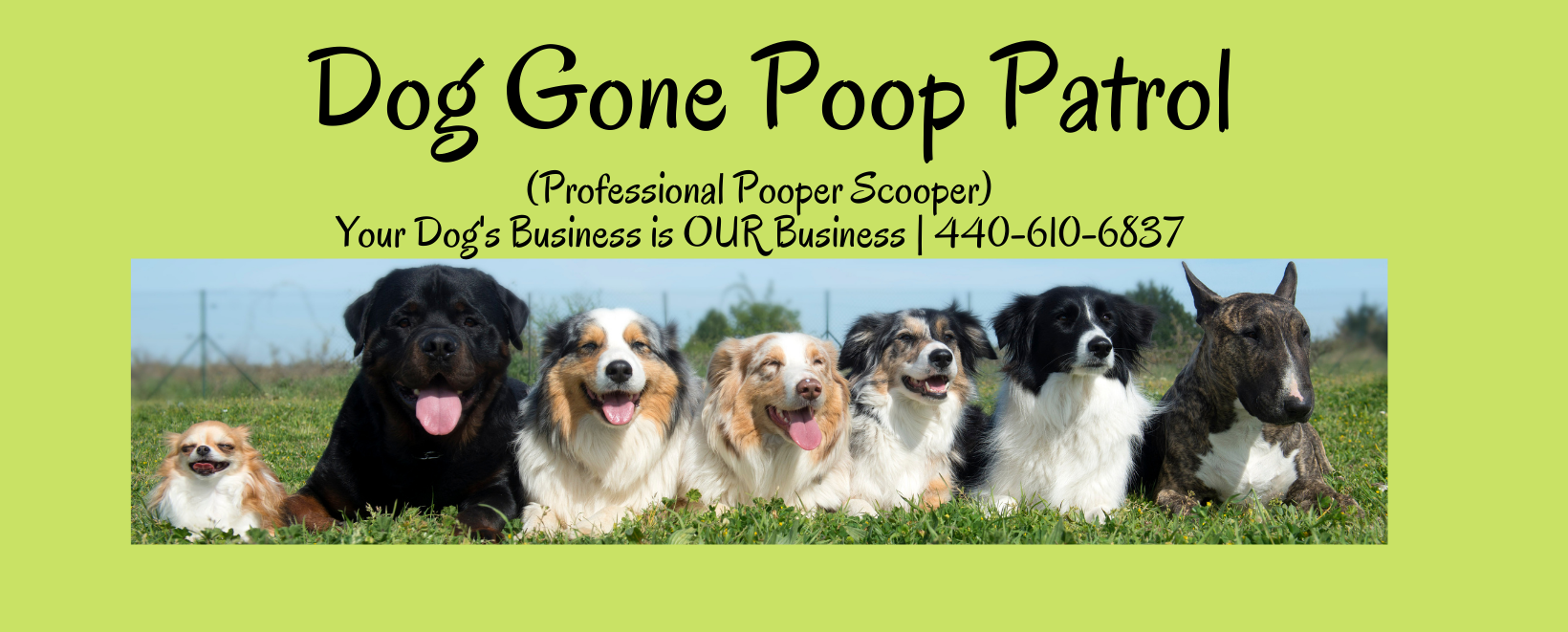 new fb banner for web